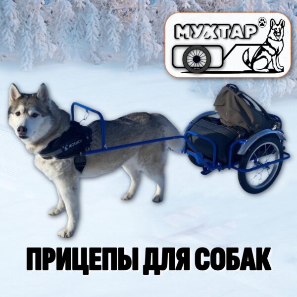 Прицепы для собак