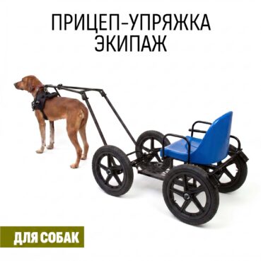 Прицеп-упряжка для собак "Экипаж" (усиленные колеса)